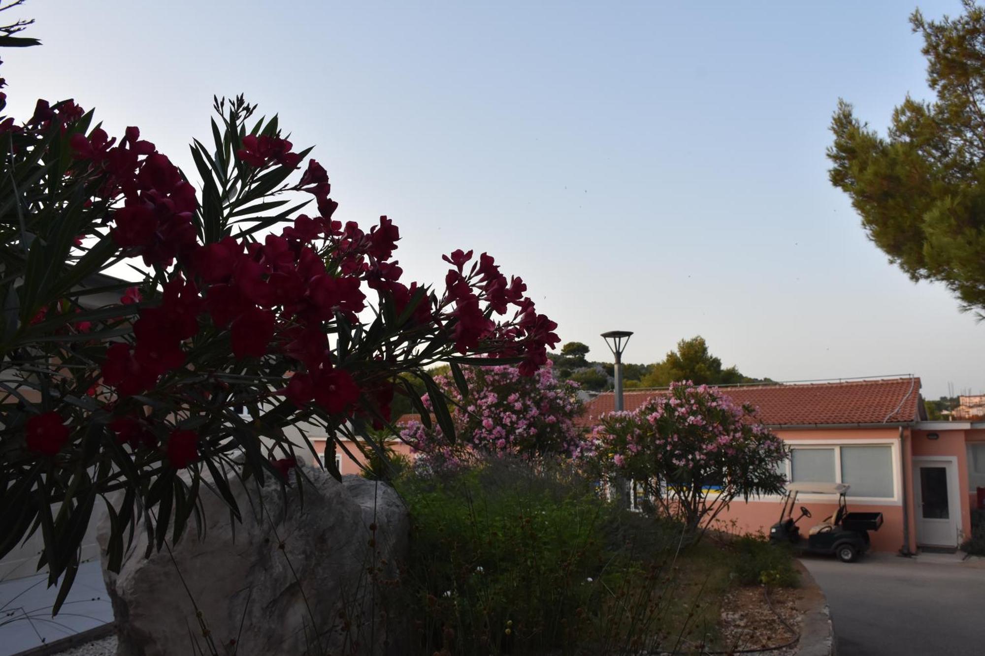 Oremore - Premium Mobile Home - Oaza Mira Camping, Drage Dış mekan fotoğraf